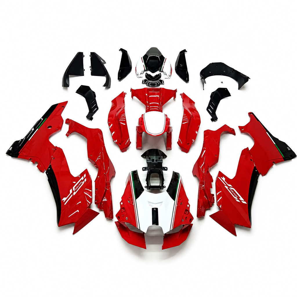 Kawasaki ZX-10R 2021-2025